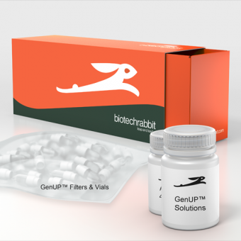 高穩定性·超純品質：biotechrabbit的分子生物學工具