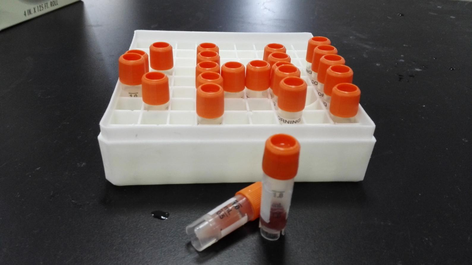 微粒体定制系列（九）——兔肝微粒体Rabbit Liver Microsomes