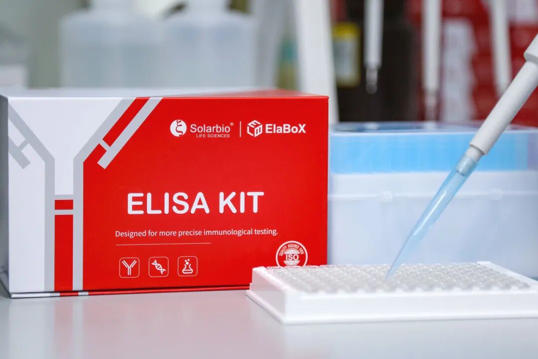 炎癥因子——人白細胞介素23(IL-23)ELISA檢測實例