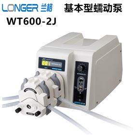 精密蠕动泵WT600-2J   LongerPump/兰格