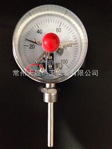 WSSX電接點雙金屬溫度計規(guī)格