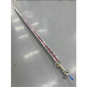 SHL14200mm磁翻柱液位计
