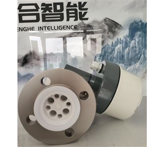 SHSDN50衬四氟金属管浮子流量计
