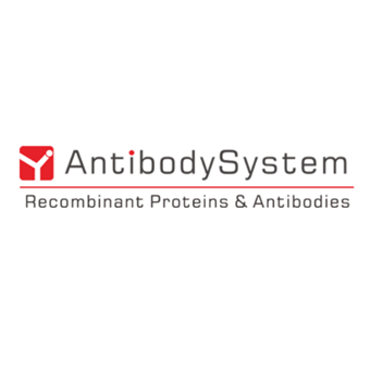 AntibodySystem总代理