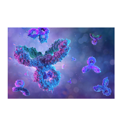 多克隆抗体（Polyclonal Antibody, pAb）