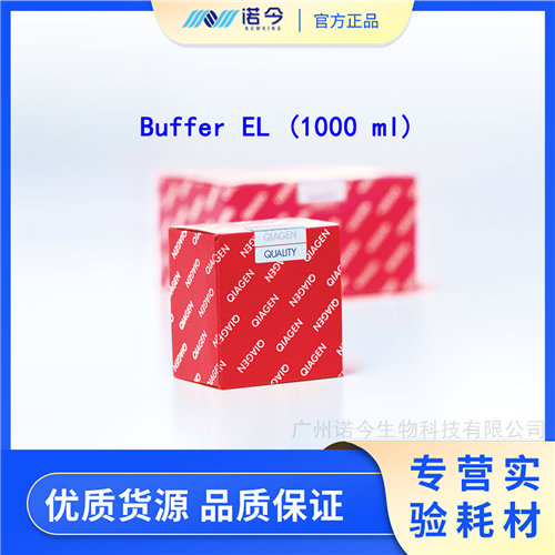QiagenBuffer ELҺ 1000ml
