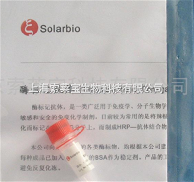 批发批发|兔抗大鼠IgG