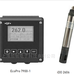 现货供应GF溶解氧水质分析仪表
