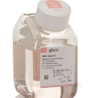 41061037核苷，無酚紅，培養(yǎng)基500mL/瓶，10瓶/箱