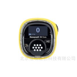 加拿大BW S1-R-Y 气体检测仪 测氢气