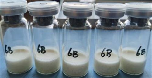 冻干制品实验服务