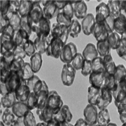 金納米雙錐，AuNBP，Au Nanobipyramids