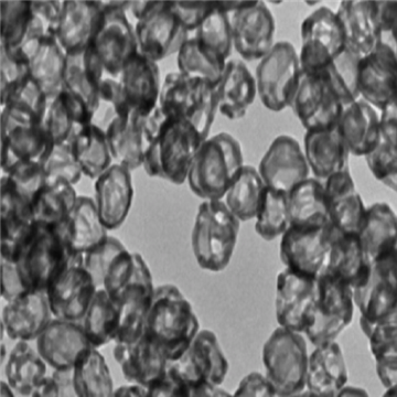 金納米雙錐，AuNBP，Au Nanobipyramids