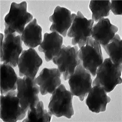 Gold Nanoflowers?，金納米花