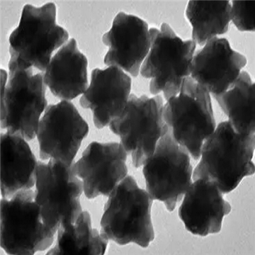 Gold Nanoflowers?，金納米花