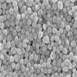 Alb-NPs，白蛋白纳米颗粒