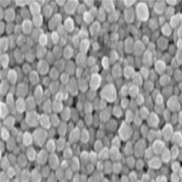 Alb-NPs，白蛋白纳米颗粒