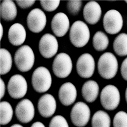 二氧化硅包覆磁性納米顆粒(內核10-400nm)