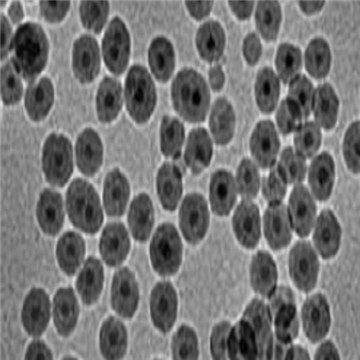 氨基磁性納米顆粒(APTES修飾)