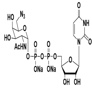 UDP-6-N3-GaINAC