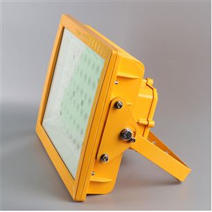 LED防爆路道灯80W90W100W120W照明路灯