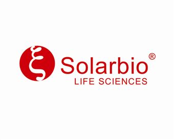 J619-100Solarbio NP-40 LYSIS BUFFER 裂解液