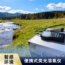 便携式溶氧测定仪  简易操作DO仪 大屏显示