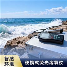 便携式溶解氧测量仪 手持显示DO一体机