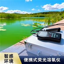 手持易维护溶氧仪 耐用检测含氧量DO仪