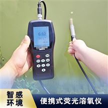 便携式地下水溶氧DO仪 盐度补偿溶氧测定仪