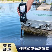 便携经济型溶氧仪 手持入门测氧DO仪