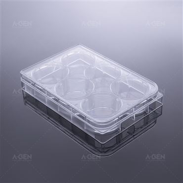 未处理/TC处理细胞培养板