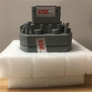 VS1GPO12V威仕流量计无锡现货