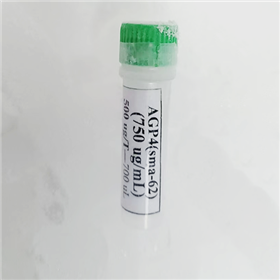 IgG anti-PEG Antibodies