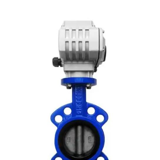 瑞士Colasit截止閥Gschwend型DN200