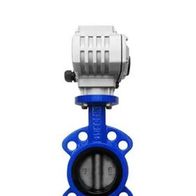 瑞士Colasit截止阀Gschwend型DN200