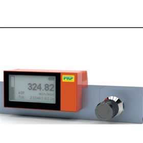 PKP流量計DS02.1.1.2.L1002.1.2.0