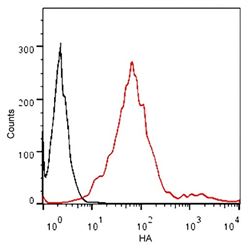 A01806THE™ HA Tag Antibody iFluor 488, mAb, Mouse