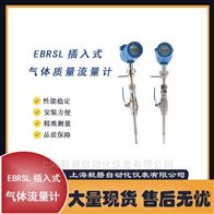 EBRSL-100CD0B2熱式氣體質(zhì)量流量計(jì)