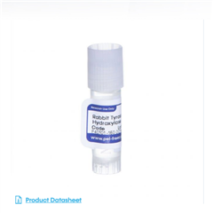 兔淀粉样前体蛋白 试剂