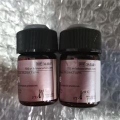 341051PerCP-Cy™5.5小鼠抗人CD8 试剂