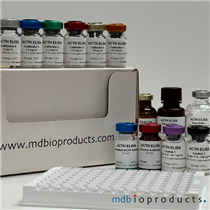 ACTH ELISA (Human, Mouse, Rat) 試劑盒