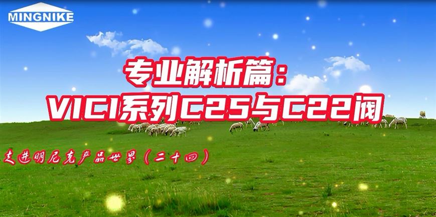 VICI系列C25與C22閥專業解析
