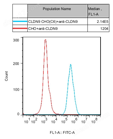 CLDN9 CHO