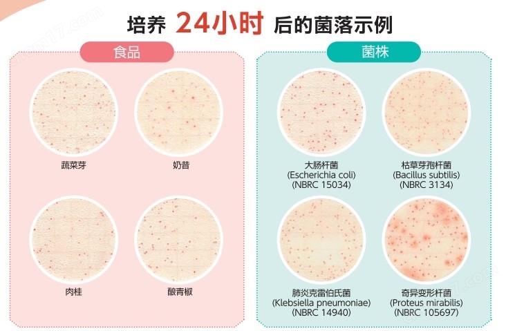 kikkoman龜甲萬快速菌落總數(shù)測試片24H