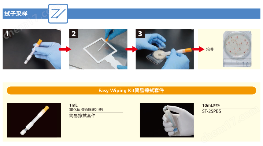 微生物快速測試片—銅綠假單胞菌