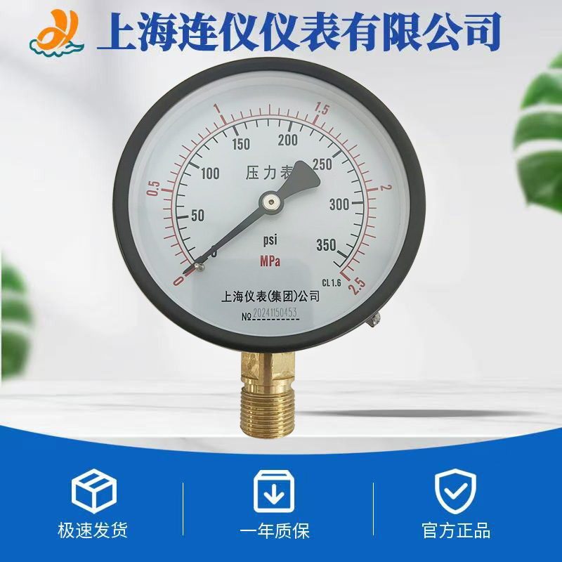 氨用壓力表：氨氣環(huán)境下的專業(yè)測量工具