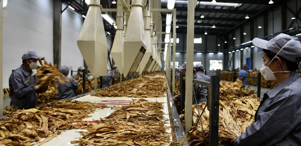 基于高光谱成像的烟叶表面香料检测实验研究