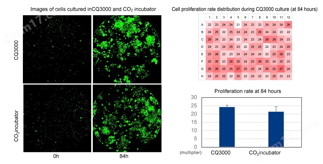 1756656255947.jpg 激光共聚焦高內涵細胞成像分析儀