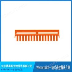 Biotides博泰斯 電泳梳子 1.5mm 15齒